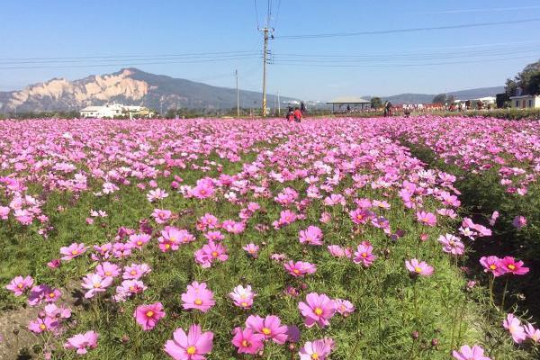 顺时而动