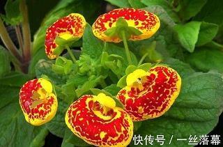 正名责实