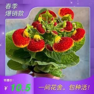 一文钱难倒英雄汉