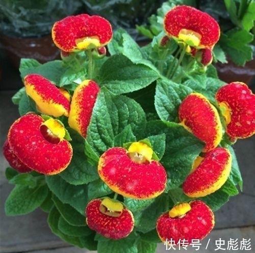 耳鬓撕磨