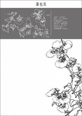 搜肠刮肚