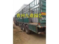 没世无称