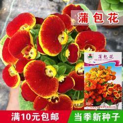 下笔千言，离题万里