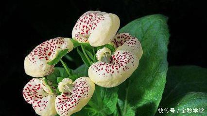 朱墨烂然