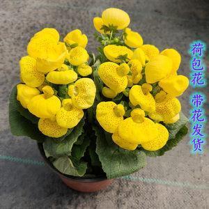 众寡悬殊