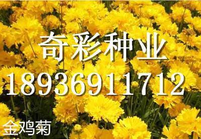 刻画无盐