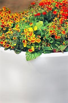 承平盛世
