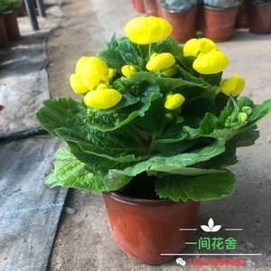 转徙无常