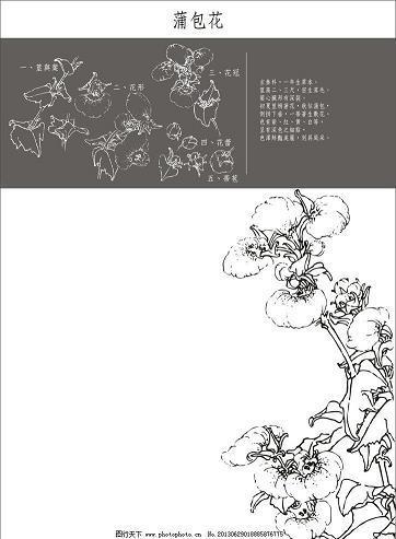不问青红皂白
