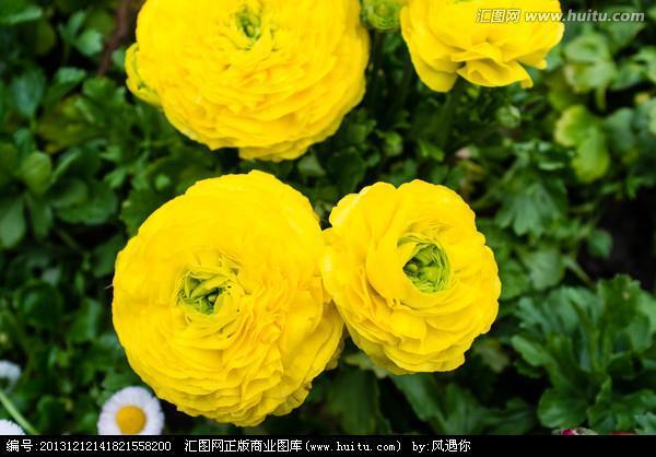 不愤不启