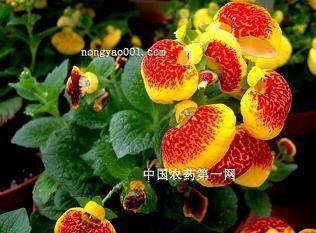学业有成