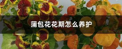 恩恩怨怨