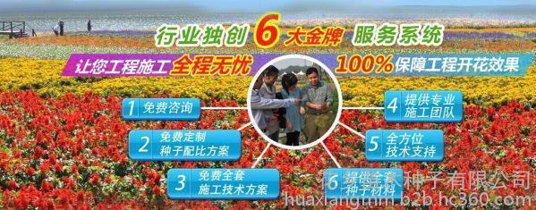 阿保之劳