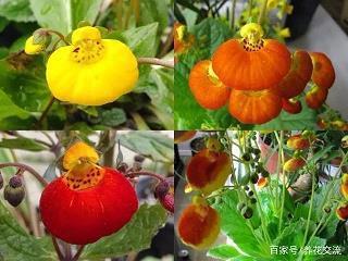 赏善罚否
