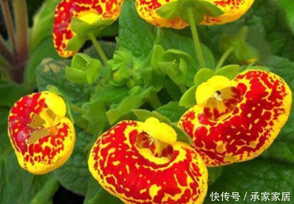迁善去恶