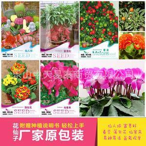老泪纵横