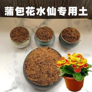 珠胎暗结