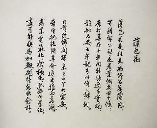 珠泪偷弹