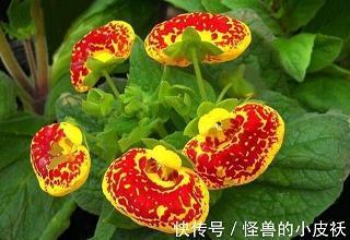 跻峰造极