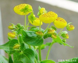 李郭同船