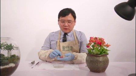 卧薪尝胆