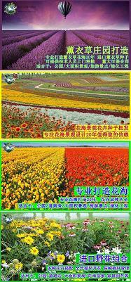 知难而退
