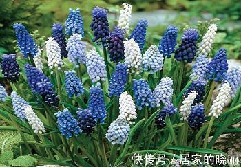 不矜不伐