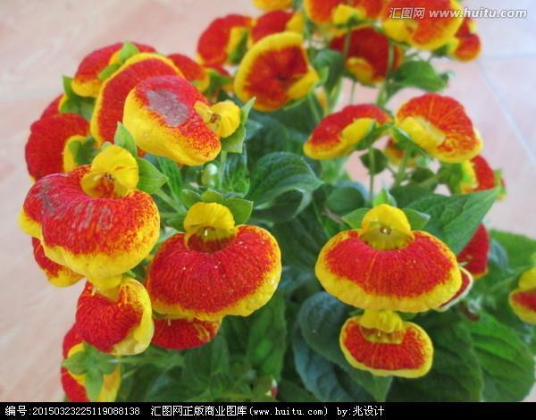 大惊小怪