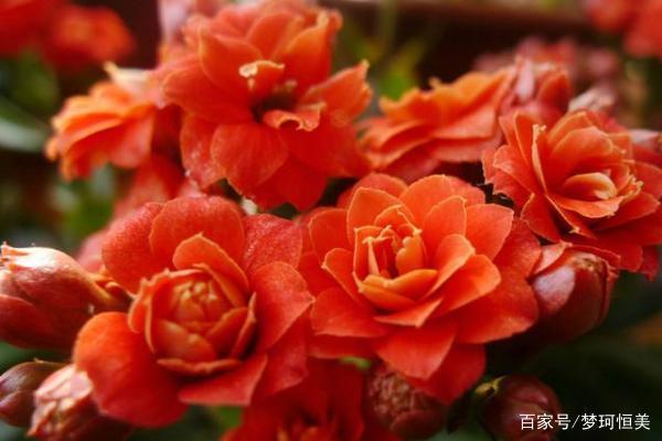 雄文大手