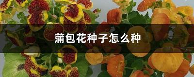 玩兵黩武