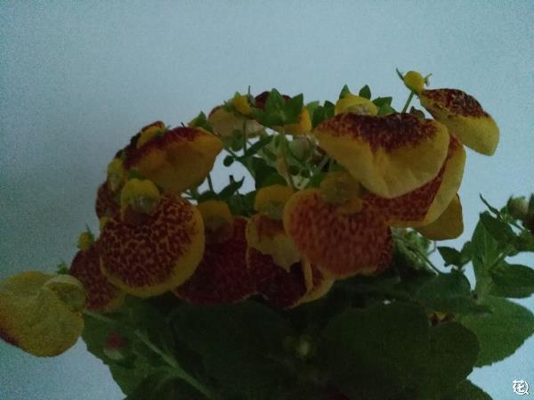 经典爱情句子，甜蜜爱情语录大全，恋爱中的甜蜜爱情说说