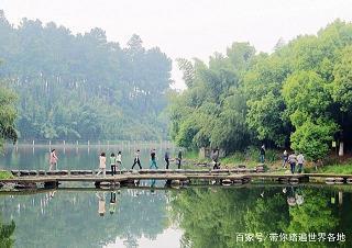 砥锋挺锷