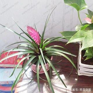 楼船箫鼓