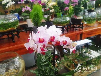 离娄之明