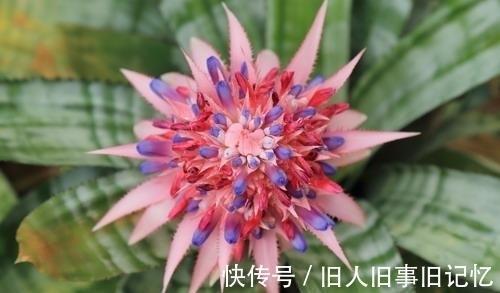 计穷虑尽