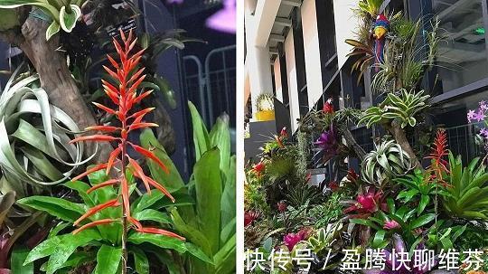 死路一条
