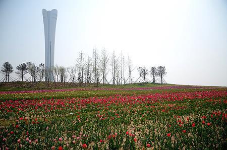 漫天蔽野