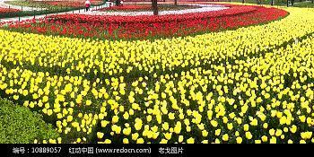 人荒马乱