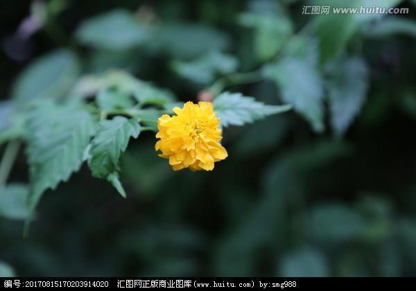 千里莼羹