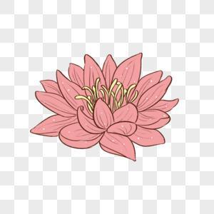 舍实求虚