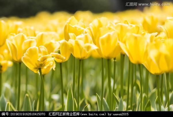 穷奢极侈
