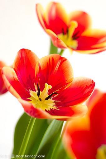 万赖无声