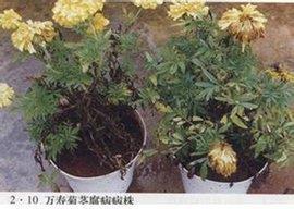 一字褒贬