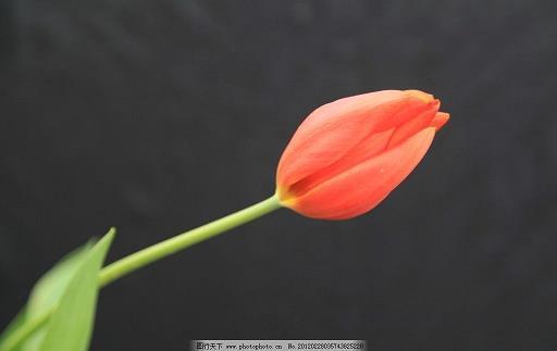 塞翁得马