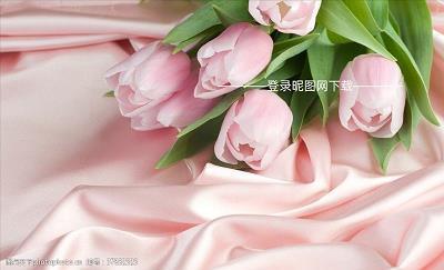 桂折一枝