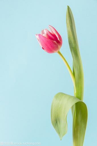 丝毫不爽