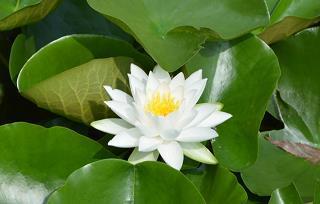 接连不断