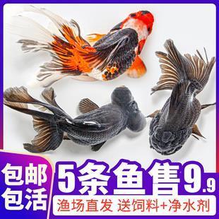 臂多音字组词 臂多音字组词和拼音