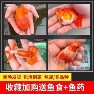 海涯天角