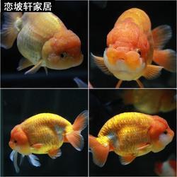 盂方水方